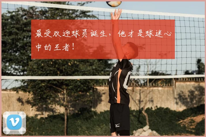 最受欢迎球员诞生，他才是球迷心中的王者！