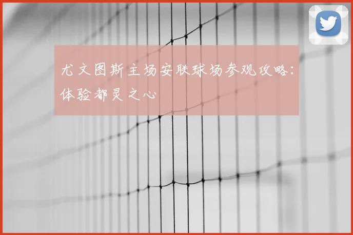 尤文图斯主场安联球场参观攻略：体验都灵之心